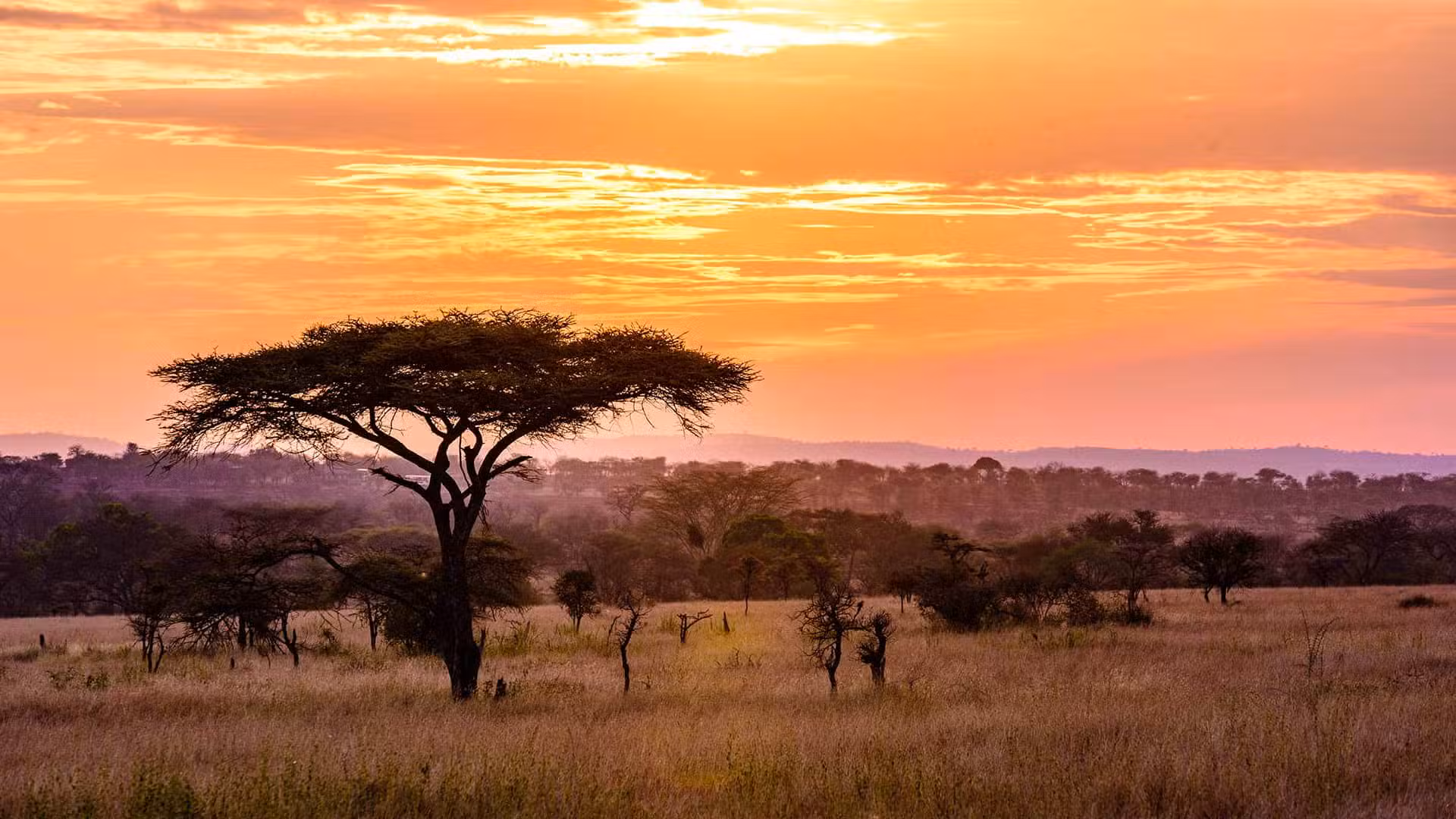 South Africa